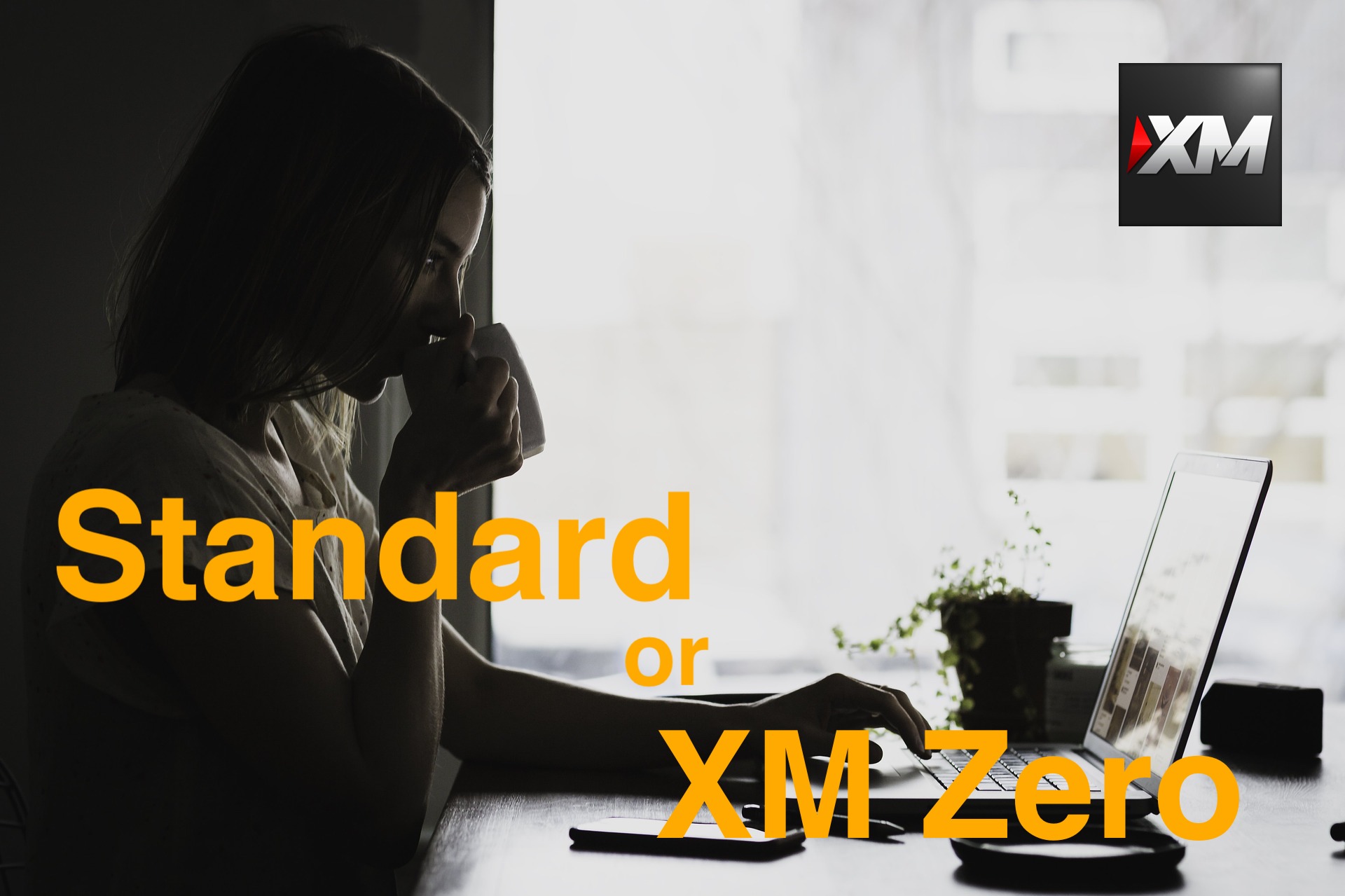 XMのスタンダード口座とXMZero口座を徹底比較！結局どちらがお得？